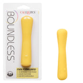 Boundless™ Mini FlexiWand